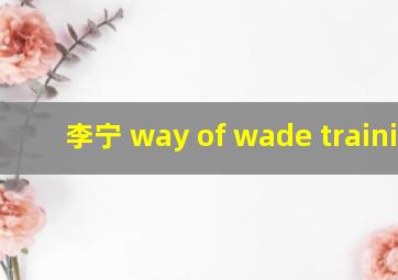 李宁 way of wade training